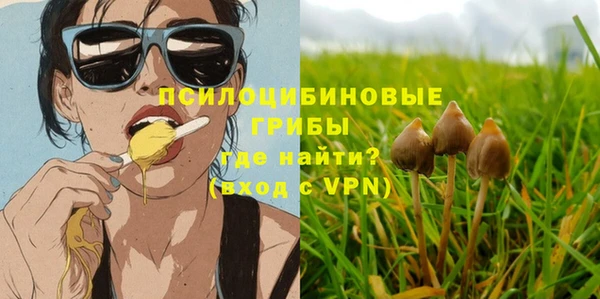 spice Дмитровск