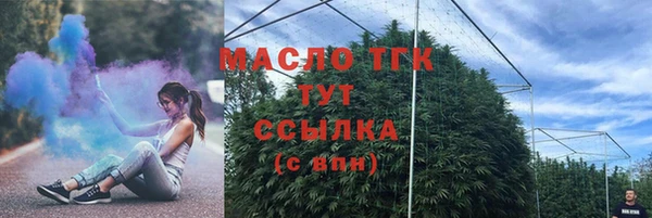мдпв Дмитриев
