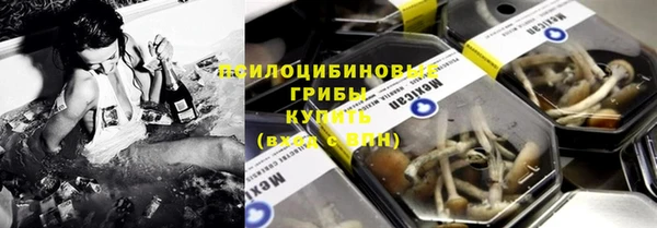 мдпв Дмитриев