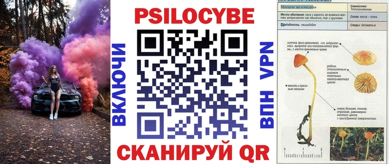 Галлюциногенные грибы Cubensis  Сасово 